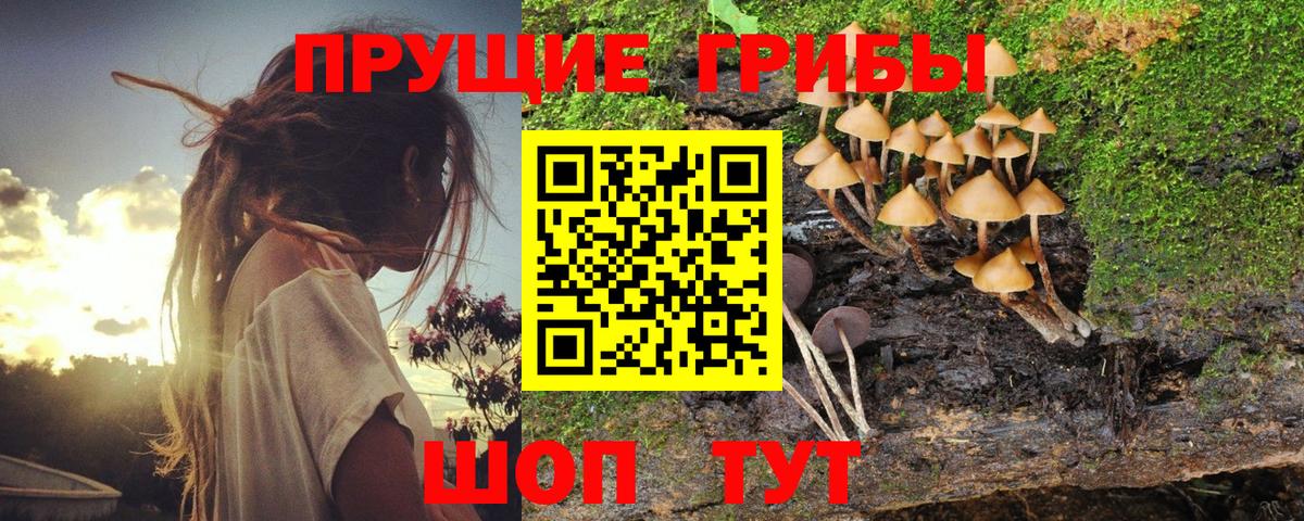 Абакан  Псилоцибиновые грибы MAGIC MUSHROOMS  Вход с VPN  Псилоцибиновые грибы мухоморы 
